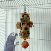 Parrot Hanging Bite Wooden Colorful Shredding Crinkles Parrot Chew Toys Natural Foraging Sola For Conures Cockatiels Parakeets 2