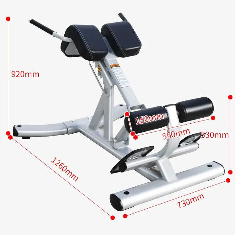 Abdominal Back Extension Bench, Gym Workout, Commercial Fitness Equipment, Adjustable Bodybuilding Roman Chair