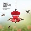 Hummingbird Gifts Humming Bird Feeder With Ant Moat Ant Moat And Bee Guard Humming Bird Feeder For Small Birds Birds Food 1