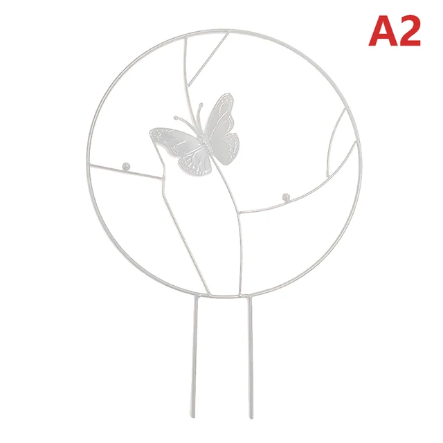 A2
