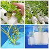50Pcs Black Plant Grow Pots Garden Vegetable Soilless Hydroponic Basket Nursery Pots Hydroponic Colonization Mesh Cup 6