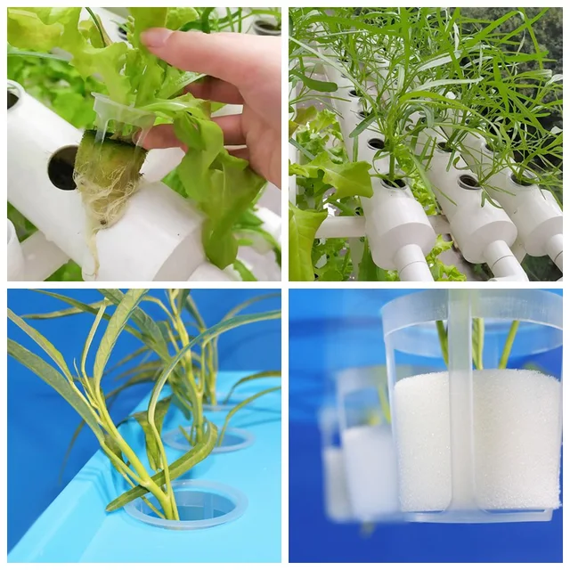 50Db Fehér Hidroponikus Kosár Kerti Zöldség Legfeljebben Termesztése Nettó Edény Több Méretű Aeroponics Műanyag Ültetési Háló Edények Sapka - Image 6