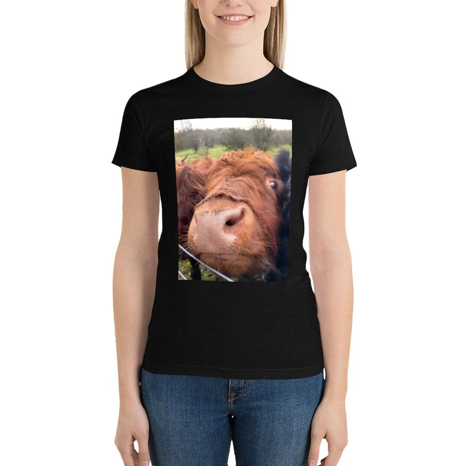 

Highland coo T-Shirt Female clothing Aesthetic clothing tshirts for Women