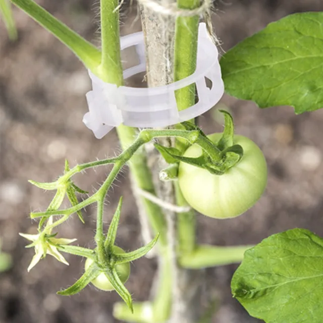 Műanyag Növényi Klipek Támogatók Összekapcsolják Az Újrafelhasználható Védelem Oltó Rögzítő Szerszám Kertészeti Készleteket A Zöldség Paradicsomhoz - Image 2