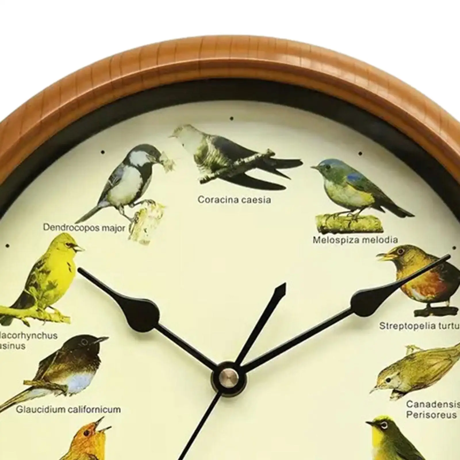 Wall Clock Birdsong Alarm Clock Minimalist 10