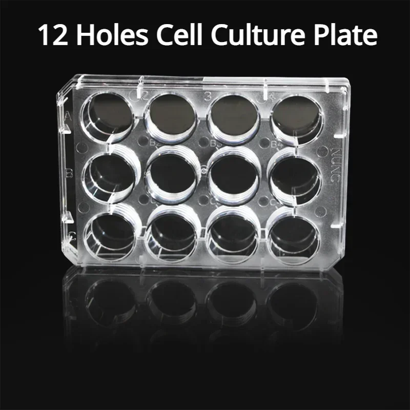 Thermo NUNC Cell Culture Plate 6/12/24 Holes Disposable Cell Culture Plates Flat Bottom Sterile Bacterial Treated Plate