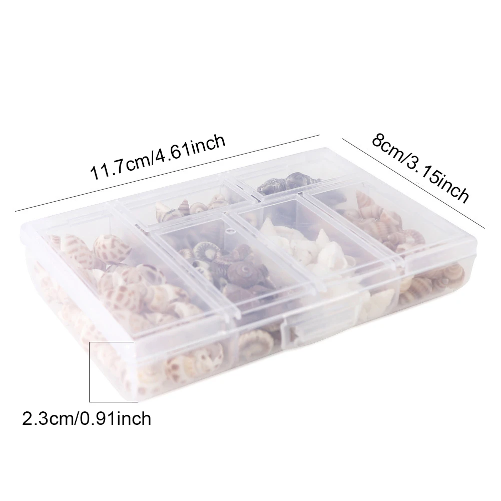 2 Boxes Wedding Beach Decor Crafts Charms Tank Tiny Shells Sea Snails Party DIY Natural Spiral Shell Handicraft Decoration natural shell ornaments