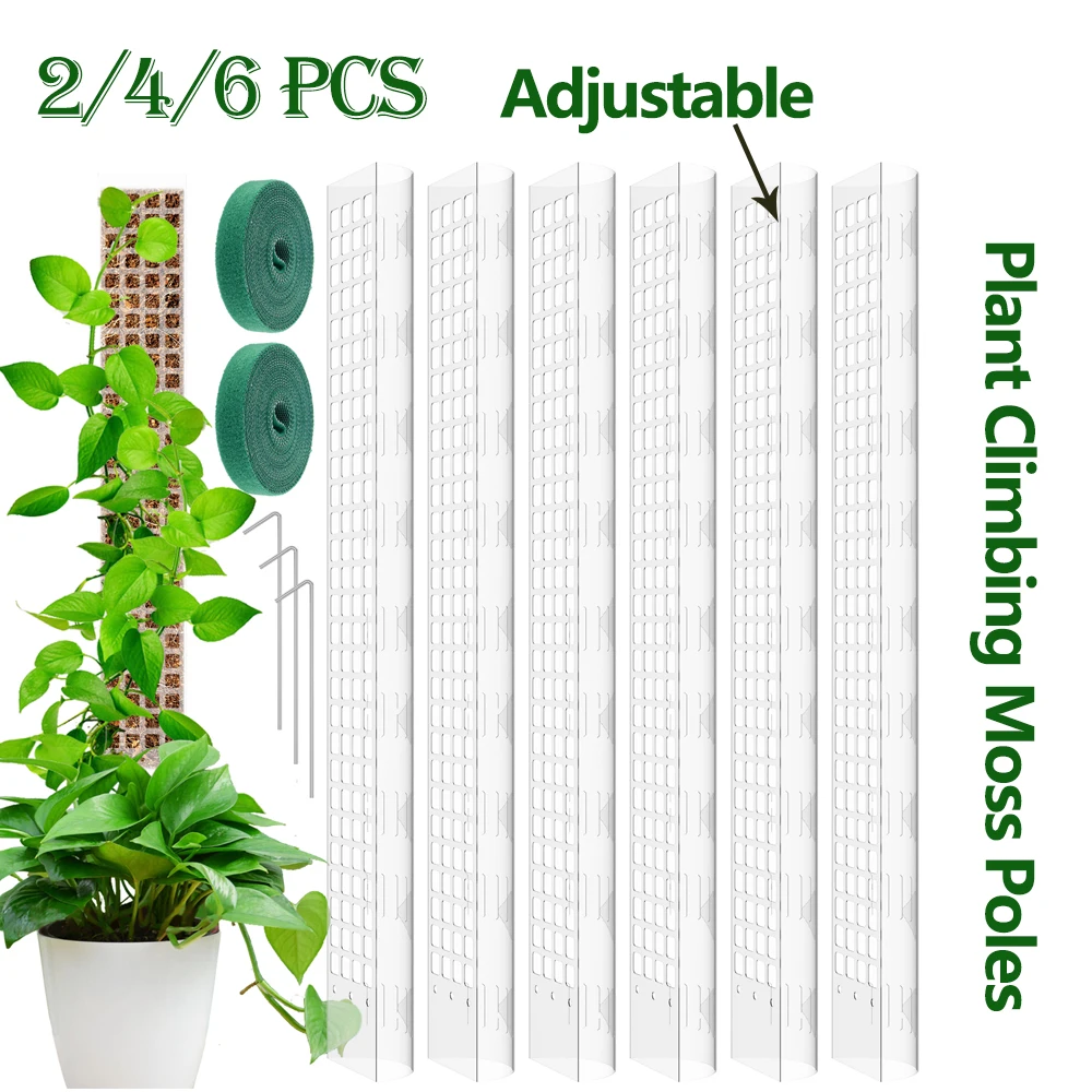 Set 6 Pali Di Muschio In Plastica 61 Cm Per Piante Rampicanti - Supporti Impilabili Con Ganci E Picchetti, Per Piante Da Interno/Esterno (Monstera, Edera)