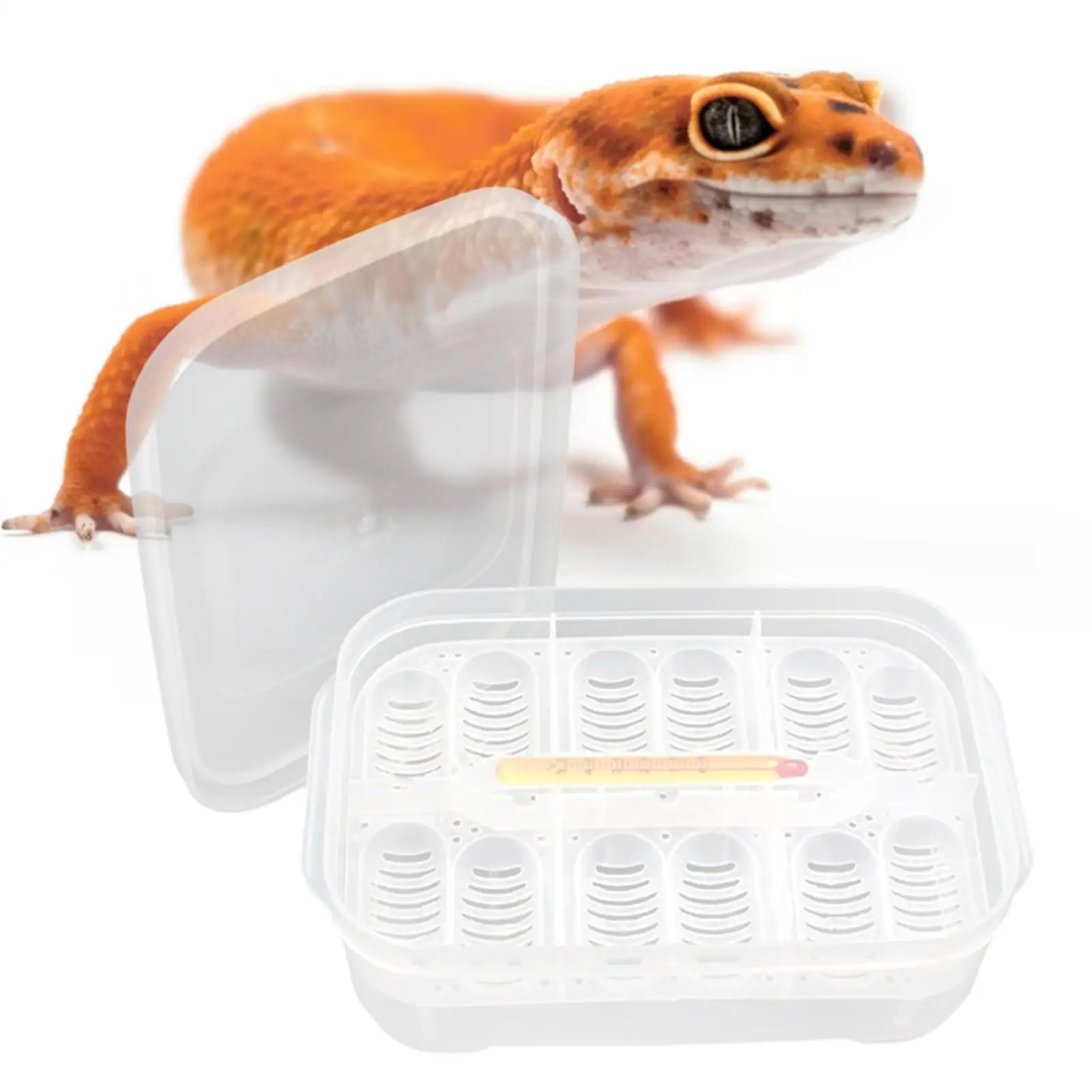 Plastic Reptile Breeding Box Incubator with 12 Grids Thermometer