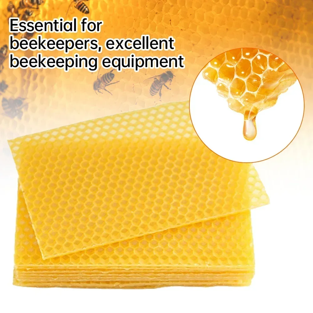 10Pcs Beeswax Sheets Honeycomb Beekeeping Foundation Sheets Candle Making Craft DIY Kits Honey Candles Maker Full Bees Wax