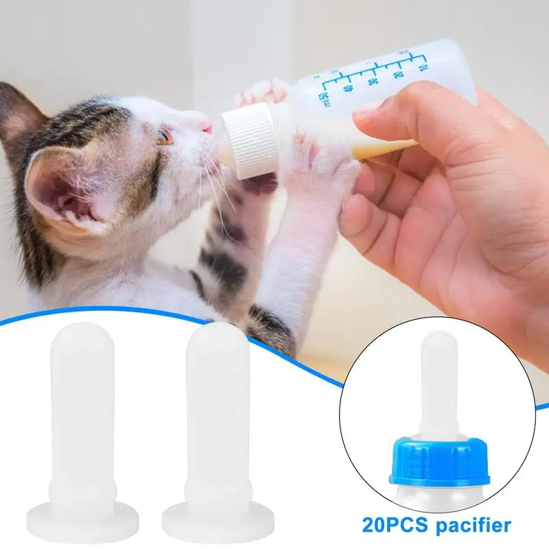 How To Properly Bottle Feed A Kitten