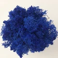 Treasure blue