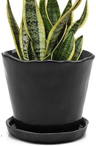 Ceramic Planter Pot \u2014 Large 8 Succulent Pots for Indoor