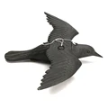 Plastic crow