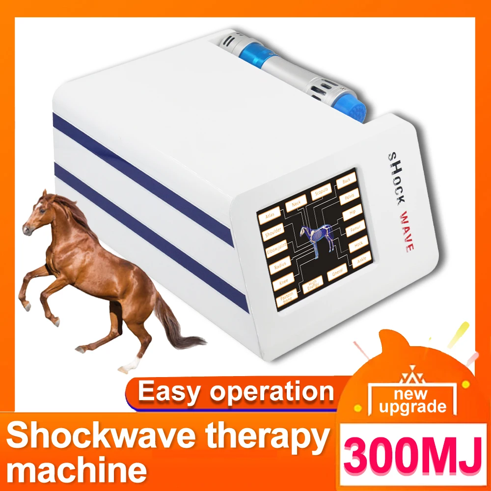 

Professional Shockwave Therapy Machine For Horse Shock Wave Physiotherapy Equipment Pain Relief Muscle Relax Body Massager