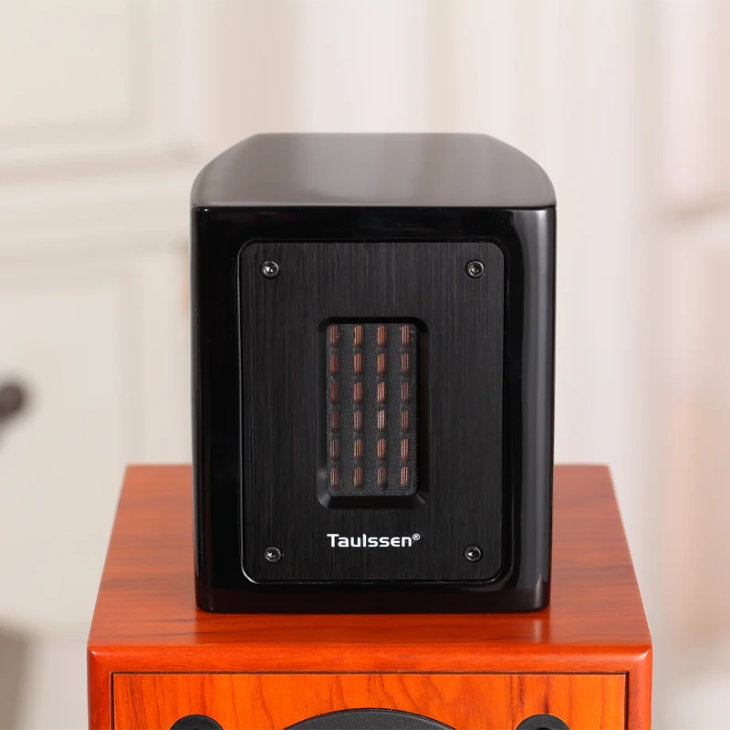 TAULSSEN T3 6Th Generation Audiophile Equal-Field Ribbon External Subwoofer UHF Extension 30KHz/30W