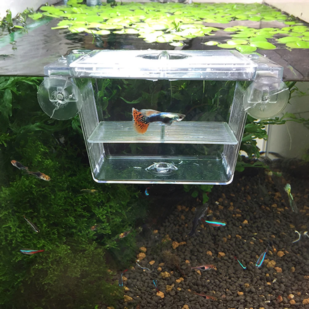 Transparent Aquarium Incubator fish breeding box For Fish Tank Isolation Box Acrylic Hatchery Fish Decoration tank Spawning Hatching Room Hot