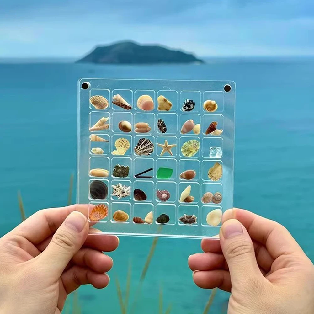 Description Picture 6 of item1Pcs Clear Acrylic 12x12cm Magnetic Seashell Display Box Seashell Display Box Diamond Storage Box Decorative Ornaments