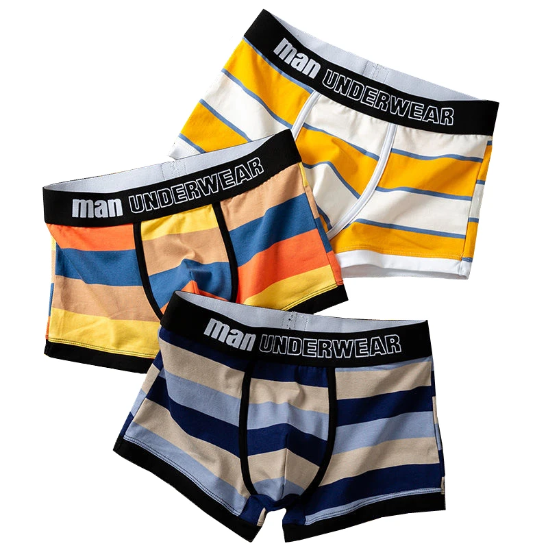 Boxer Men Underpants Brand Luxury Cotton Youth Sports Underwear Man Personality Men's Panties Stripes Mens Boxers For Intimate
