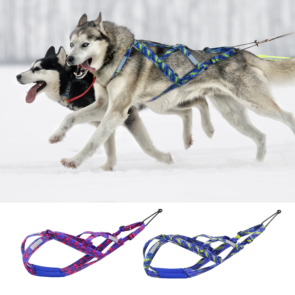 Sled Dog Pulling Harness