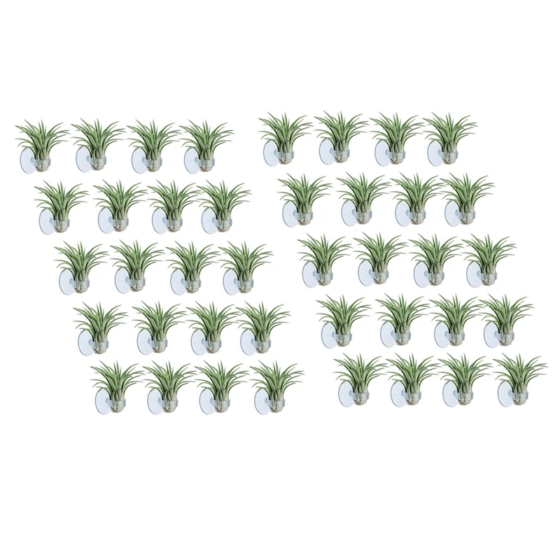 

40 Pcs Air Plant Holder, Plant Pot Tillandsia Holder Air Plant Hanger With Suction Cup For Hanging (Plants Not Included)