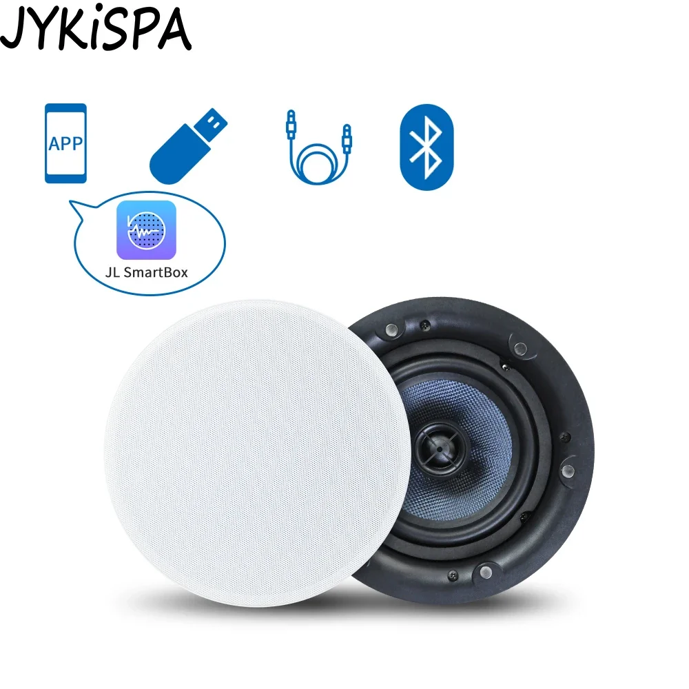 Рисунок 3 - Коаксиальный потолочный Bluetooth динамик без рамки 5