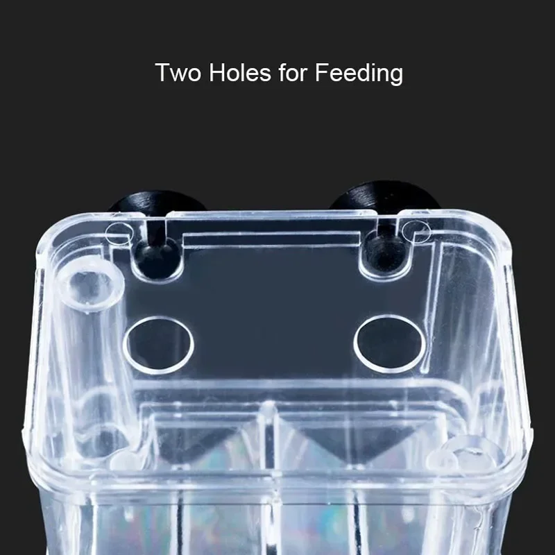 Neues Aquarium Zubehör Acryl Fischzucht Isolation Box Aquarium Aquarium Züchter Doppel Guppies Brut kasten – Detail 14