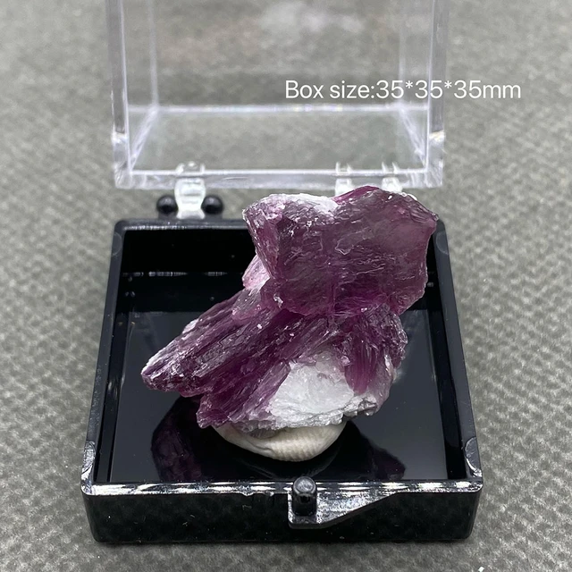 Clip De Quartz Brut En Démontrent De Mica Violet 100% Naturel