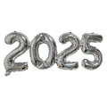 2025 Silver 2