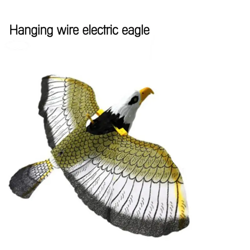  ġ Ŵ޸   û ġ,  ,  , ƺ  