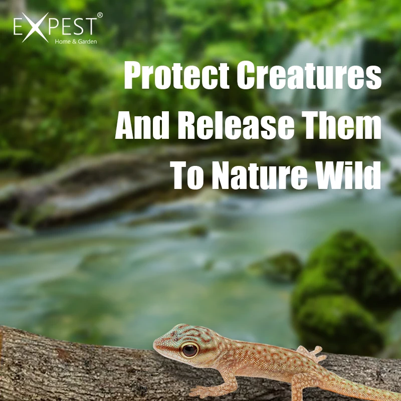 EXPEST House Gecko Trap Killer Catcher Lizard Repeller - AliExpress
