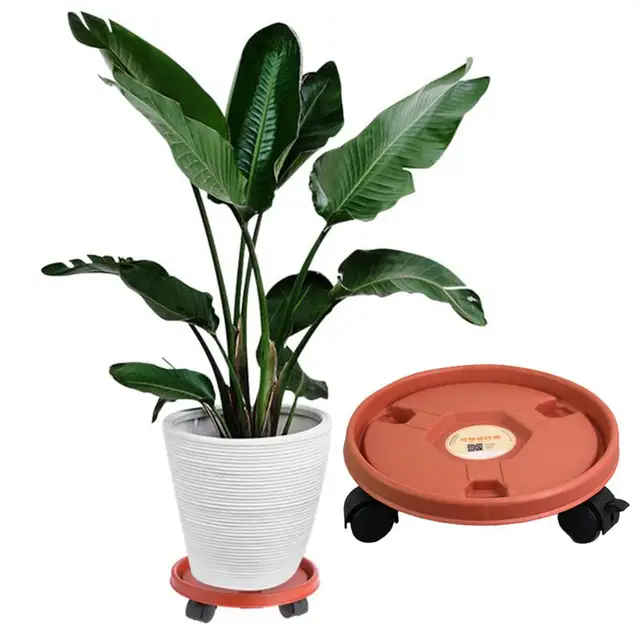 Sturdy plant stand with wheels for easy mobility and durability.