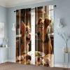 2pcs, Contemporary Curtains 2D print Surprised Dog & Cat with Eggs Machine Washable Polyester (without rod) Home Decor Use for 6