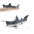 Great White Shark-2