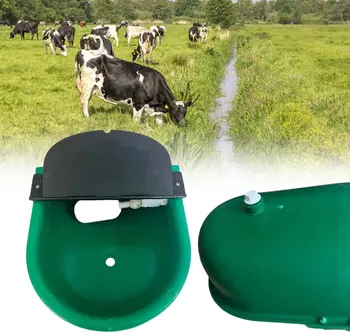 Automatic Livestock Water Bowl 1