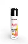He191106 Per Vernice Spray Aiutante Ral-9005 Nero Lucido 200 Ml