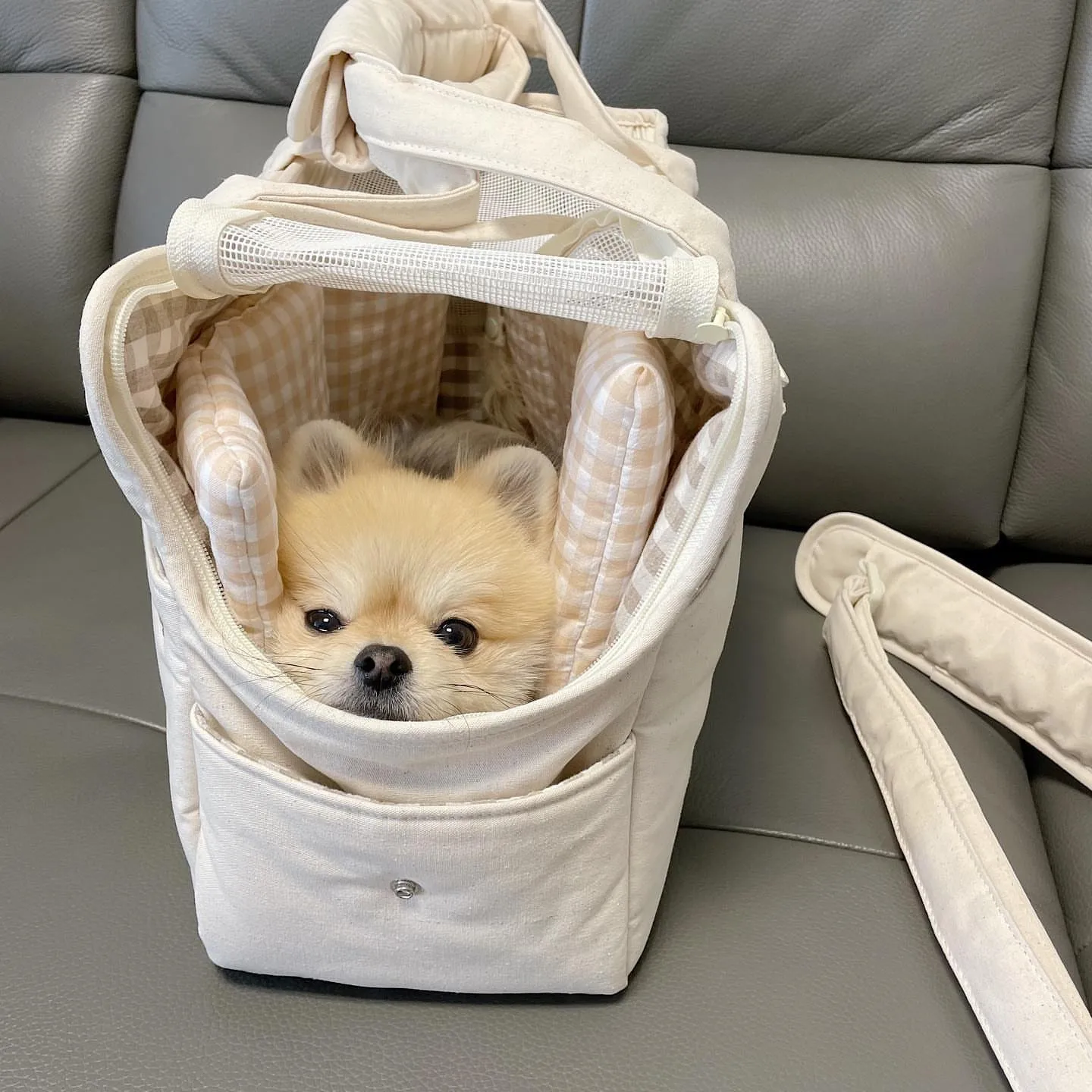 

Puppy Dog Bag Portable Cat Carrier Bag One-shoulder Bag Mat Breathable for 13lbs Pet Handbag Travel Outdoor Transport Basket