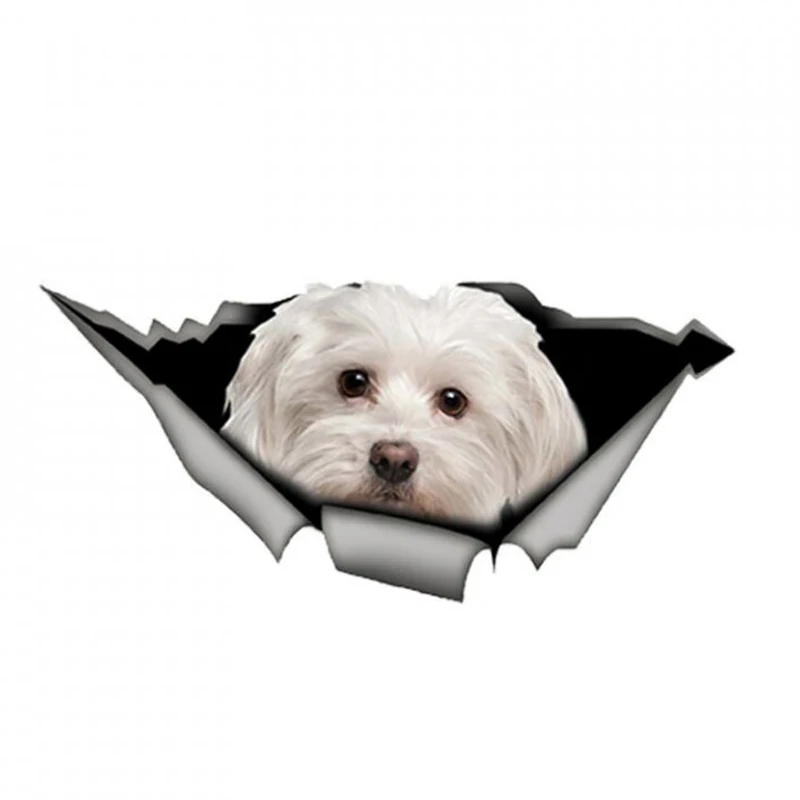 

13 cm/17 cm 3D Self-adhesive Decal Cute Maltese Dog Car Sticker Waterproof Auto Decors on Bumper Rear Window Laptop