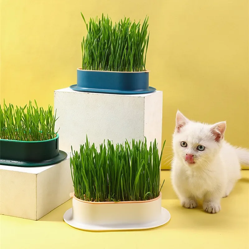 1set Pet Cat Sprout Dish Growing Pot Hydroponic Plant Cat Grass