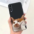 Case-c59