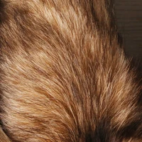 40Cm Fox Wolf Fur Tail Keychains For Women Men Faux Fur Pompom Pendant Keyring Bag Charm Car Key Chain Rings Handbag Accessories 3