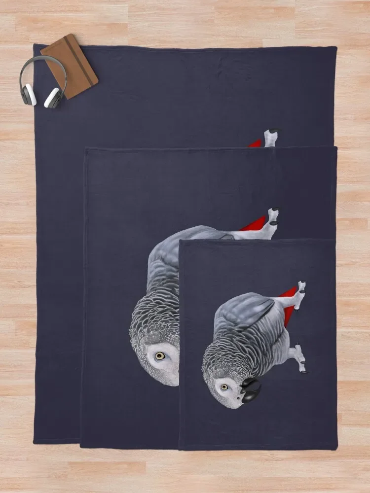 ������ī ȸ�� �޹��� ������ ���, ���� ķ�� ħ�� ���� �̺� ���