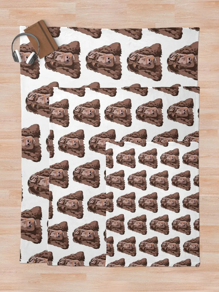 ���� ���дϾ� ������ ���, ������ �ʴ��� �� ���