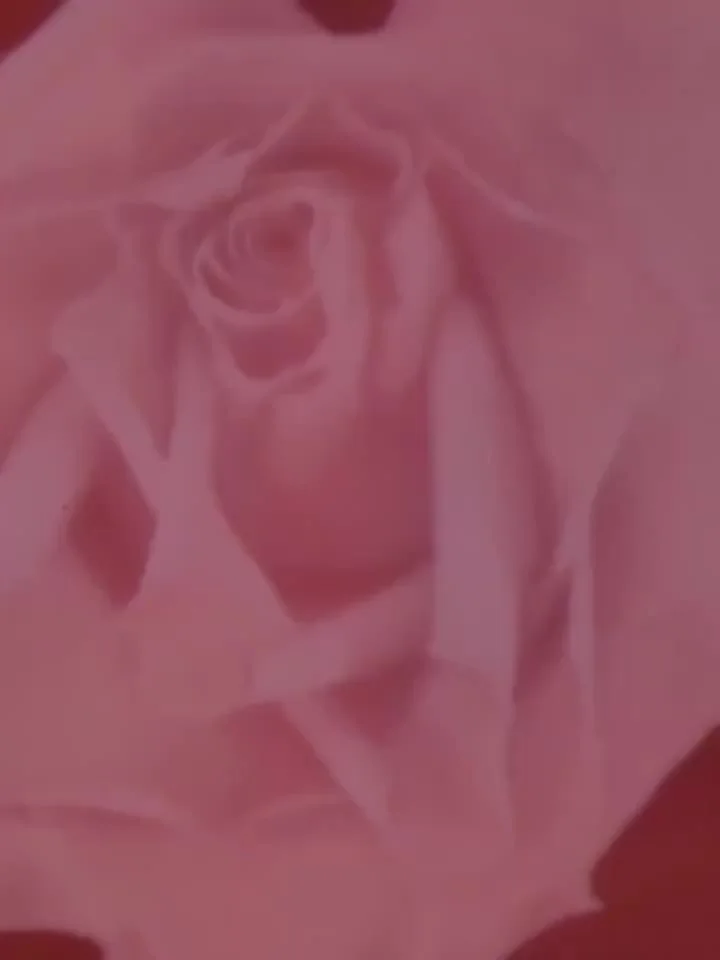 Корейская губная помада Little Ondine Flower Heart матовая бархатная глазурь для губ блеск