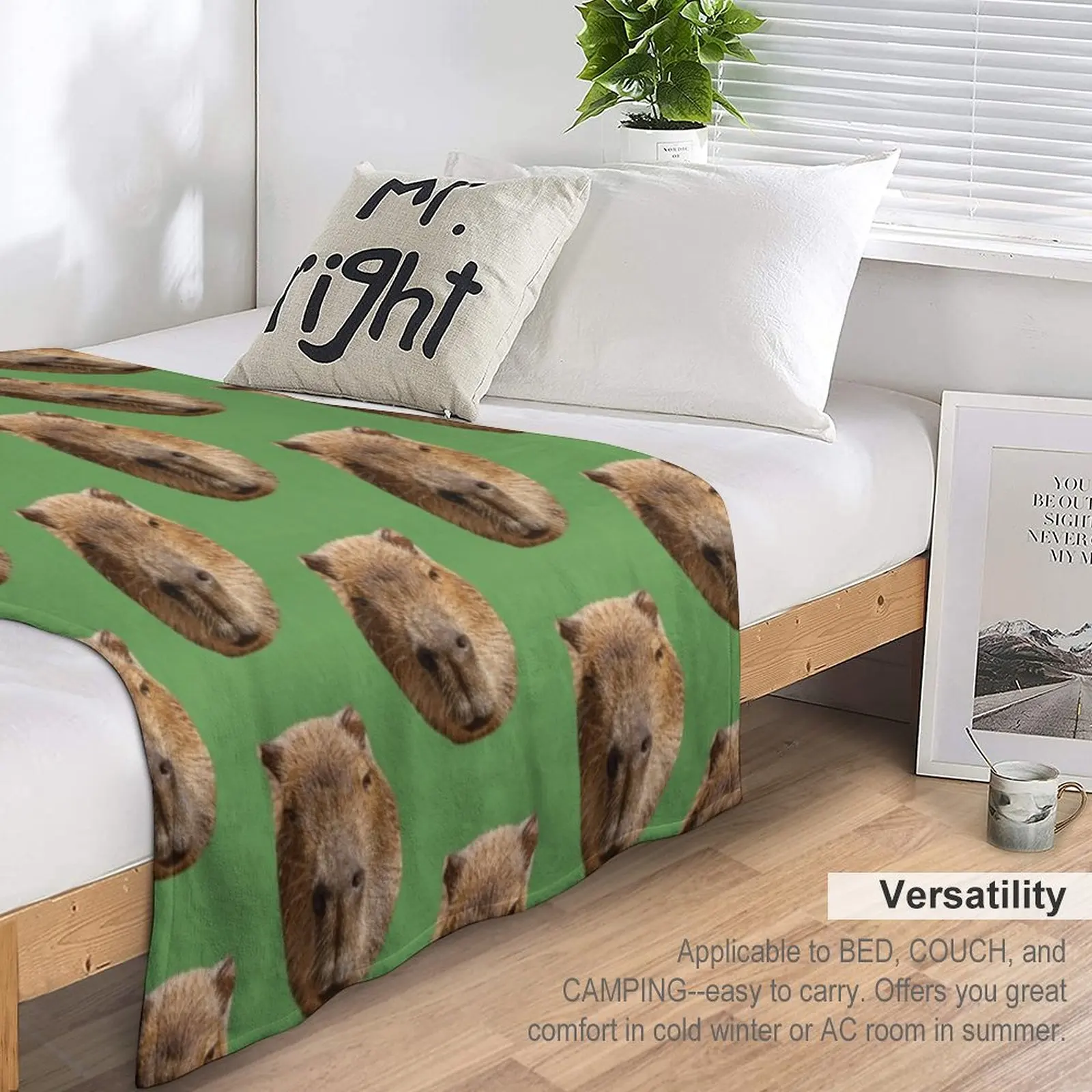 ���� Capybara �� ������ ��� ���� ���, �ε巯�� �÷��� ���� ���� �Ϳ��� ���