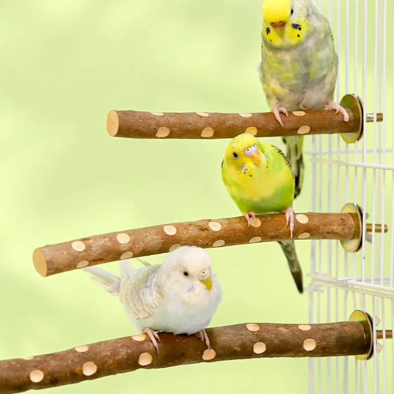 Natural Wood Bird Parakeet Stand Branch Fork Perch Rod Stand Paw Grinding Stick Bird Cage Accessories for Pet Budgies Cockatiels 3