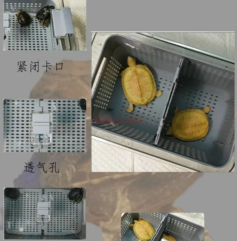 거북이 격리 상자 번식 상자 겨울 일정 온도 거북이 번식 상자 수생 거북이 반수생 거북이 어린거북이