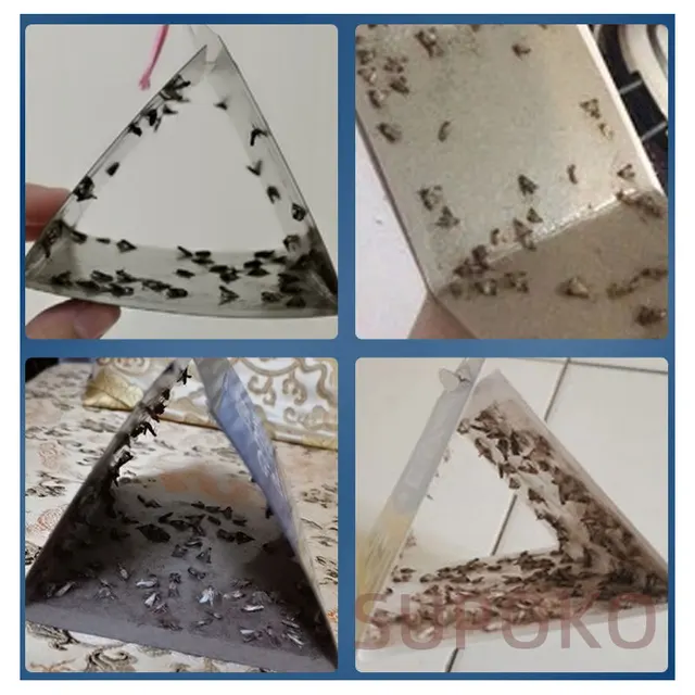 Ajánlja A Lepkék Gyilkosának Erős Tapadási Lepke Csapdapapírja, Csökkentse Fizika Elzáródási Buktató Gödör Sznare Horog Kiváló Minőségű - Image 4