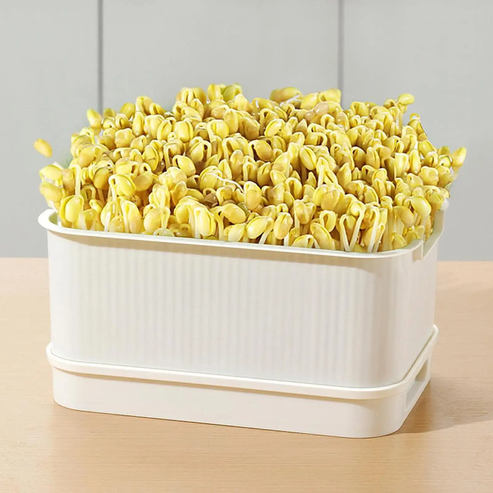 Seed Sprouts Tray Nursery Tray Saving Space Mini Greenhouse Germination Kits for Sprout Planting Container Green Growing seed starter tray seedling tray sprout growing kit