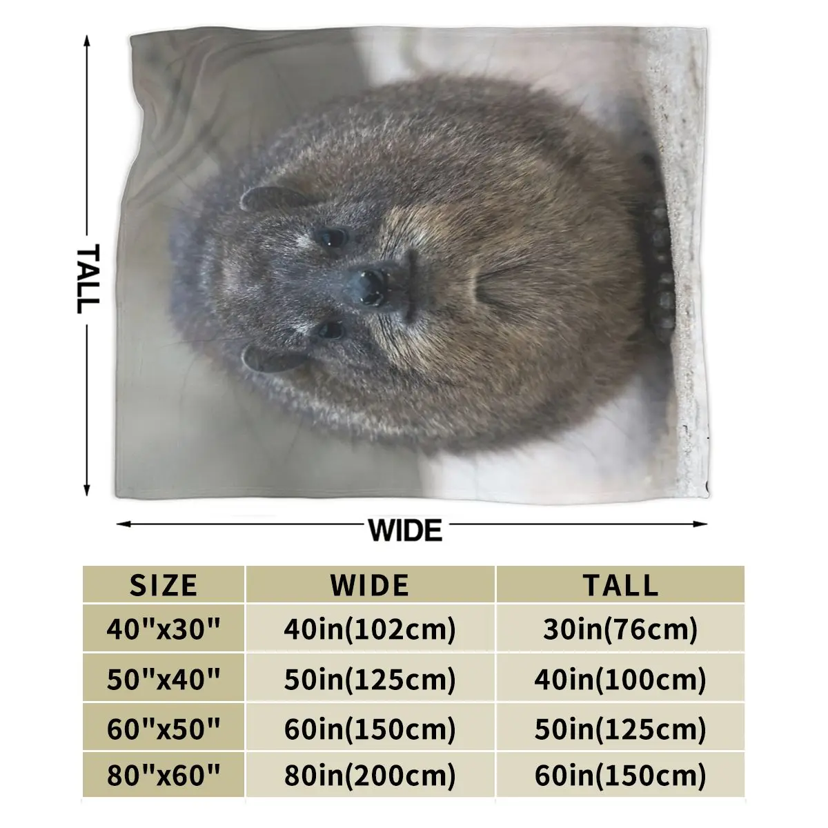 �� ���̶��� ��Ʈ�� ����Ʈ ����ũ�� �ø��� ���